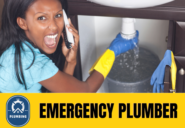 emergency plumber West Kingsdown
