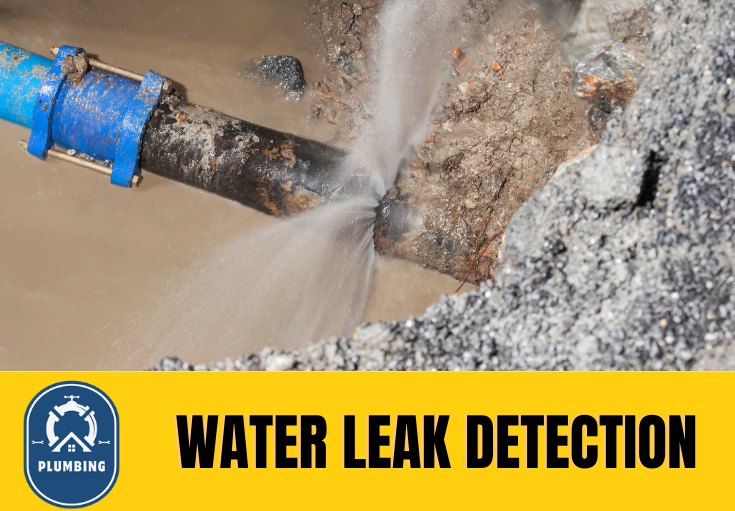 leak detection West Kingsdown
